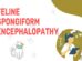 Feline Spongiform Encephalopathy