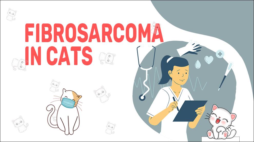 Fibrosarcoma in cats