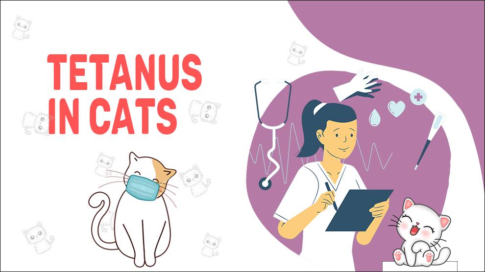 Tetanus In Cats