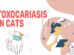 Toxocariasis In Cats