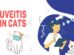 Uveitis In Cats